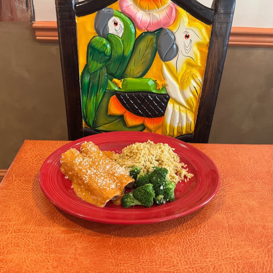 Red plate with a cheese-covered enchilada, seasoned rice, and broccoli on an orange table, backed by a colorful parrot chair.
